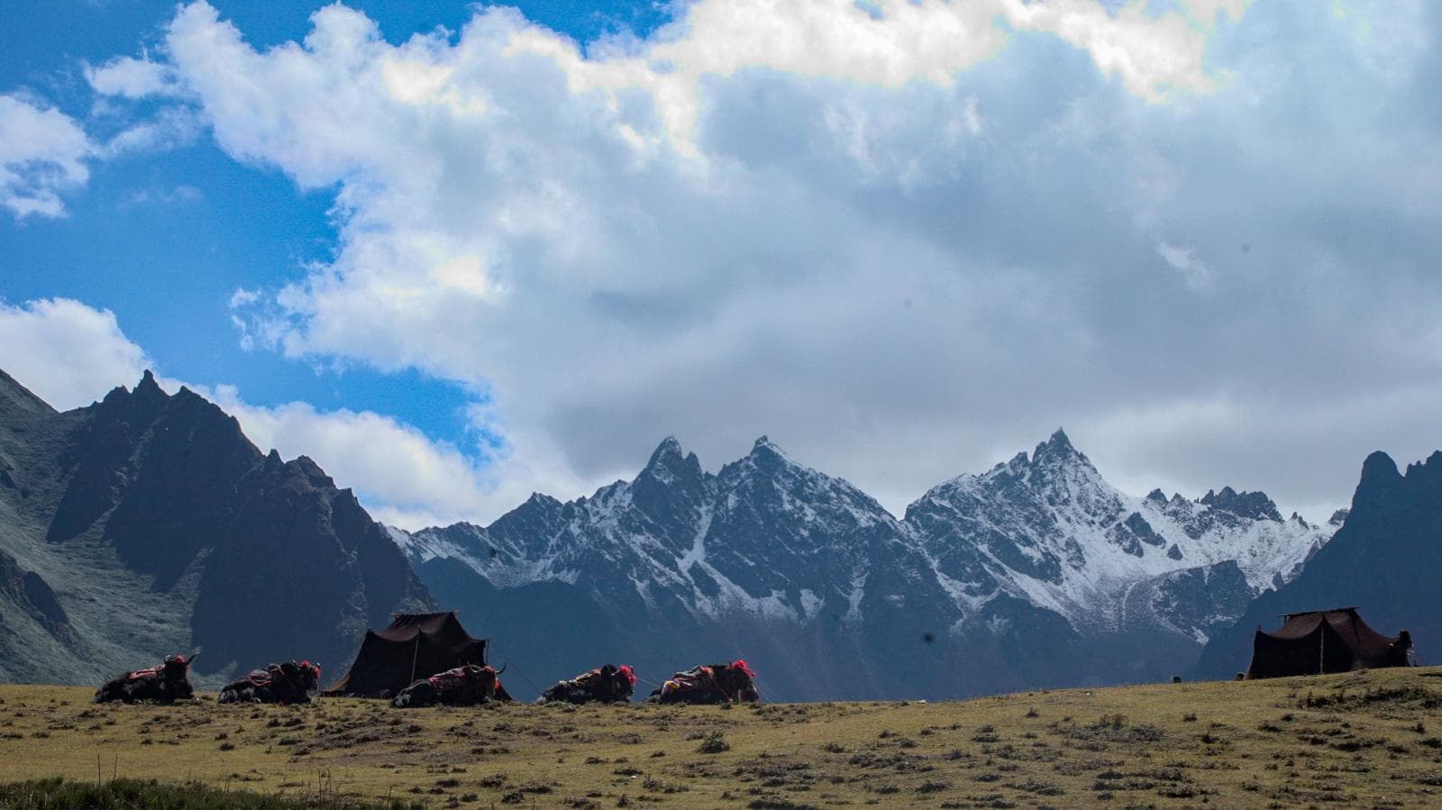 The ridge-top hike above Thimphu valley, the Trekking & Culture Journey